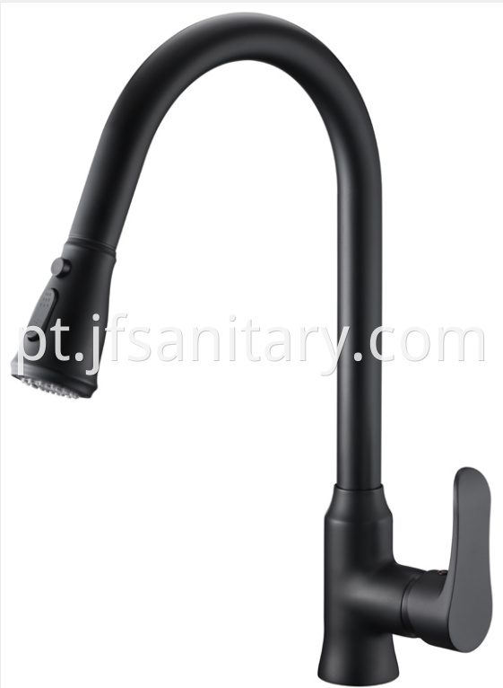 Matte black kitchen faucet